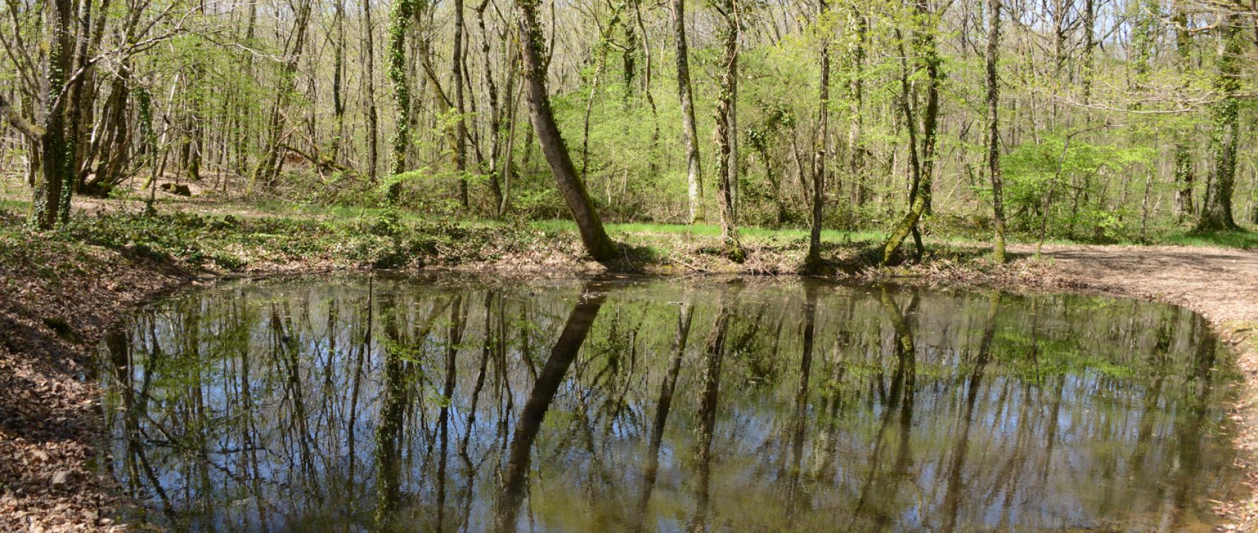 La Mare au Diable à Mers-sur-Indre
