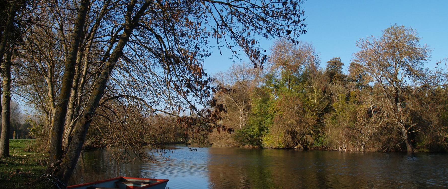 Les prairies de l'Arnon à Reuilly