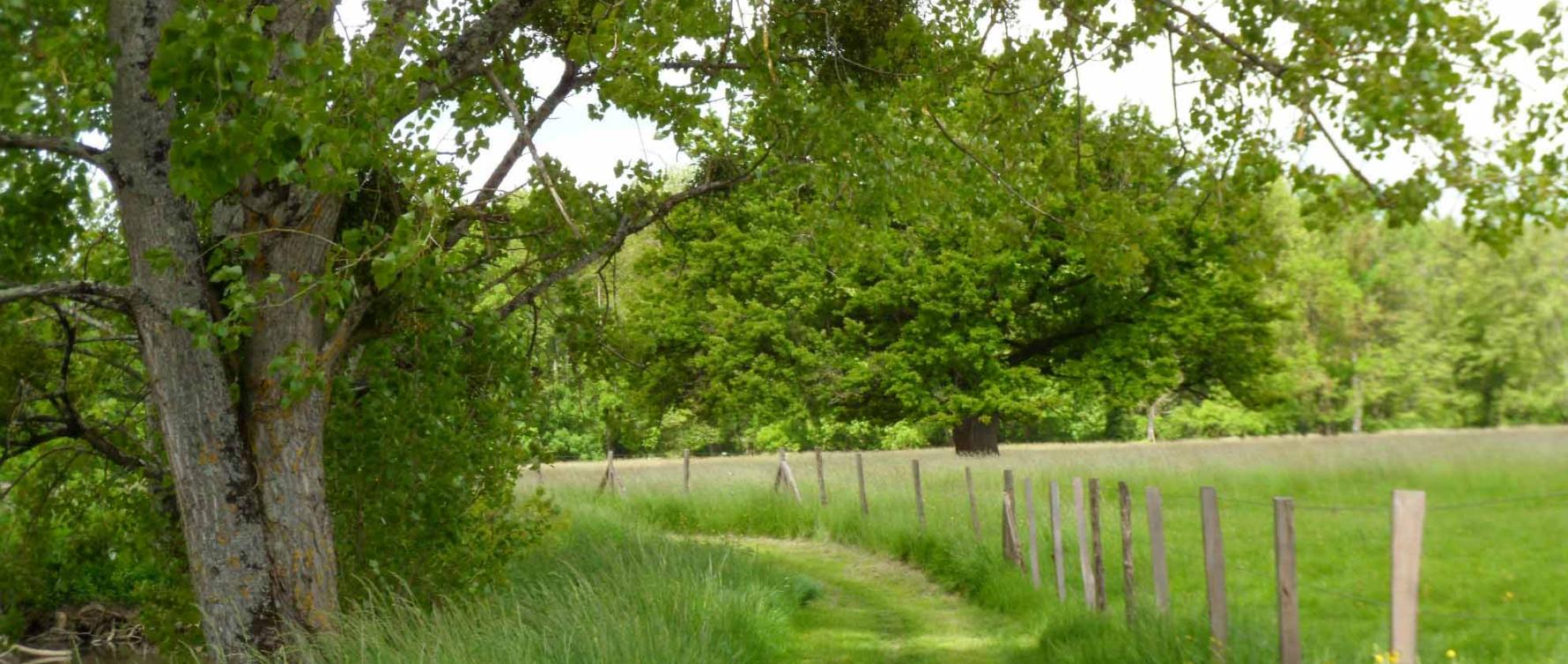 Prairies et ballastières de l'Indre à Saint-Maur