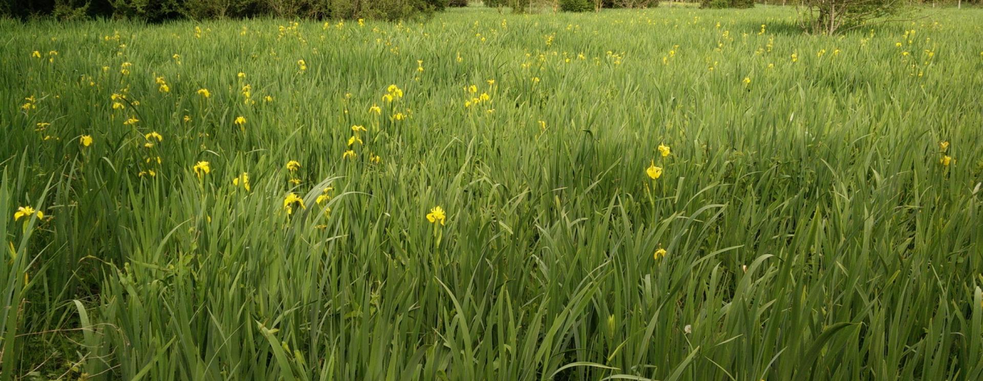 Vue extérieure de l'écoparc des Chènevières à Déols