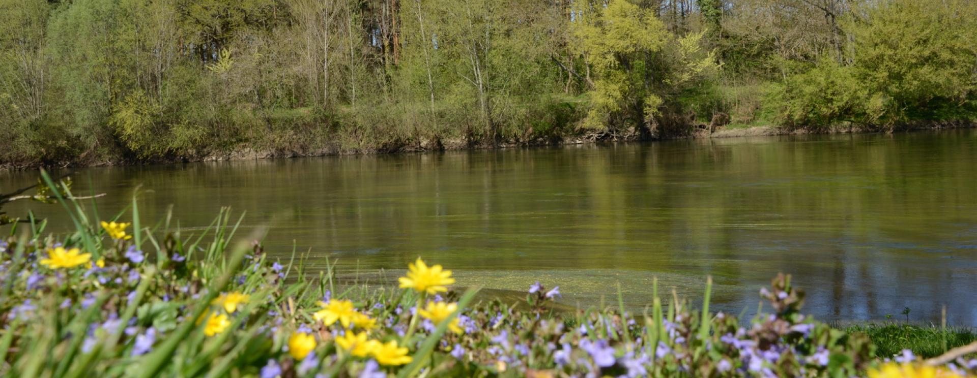 L'île du moulin à Chabris
