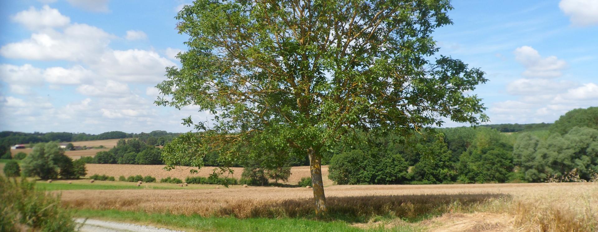 Sentier découverte Benjamin Rabier