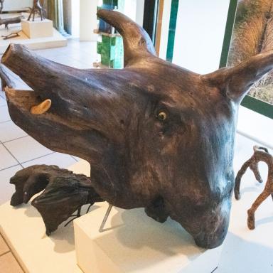 Le musée des racines à Thevet-Saint-Julien