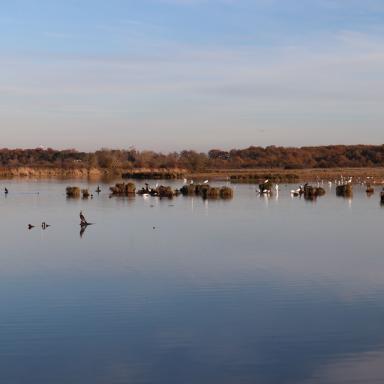 La Réserve naturelle nationale de Chérine à Saint-Michel-en-Brenne