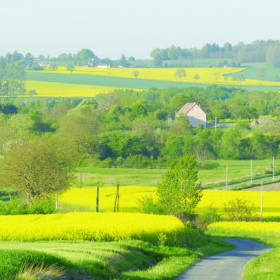 Le parcours des dames