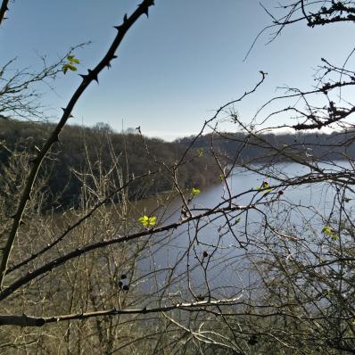 Sentier de grande randonnée de pays Val de Creuse