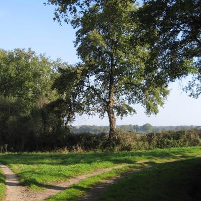 Le sentier de Ferrières à Néret