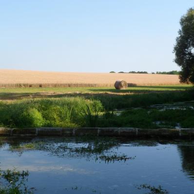 Les sources de la Théols à Ambrault & Bommiers