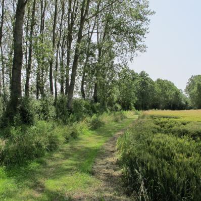 Les Effes et les Riaux à Val-Fouzon