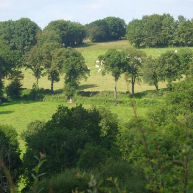 Les jardins de Beauregard au Magny