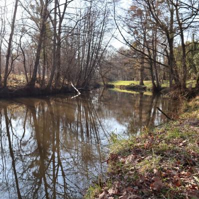 Les prés du canal à Mézières-en-Brenne