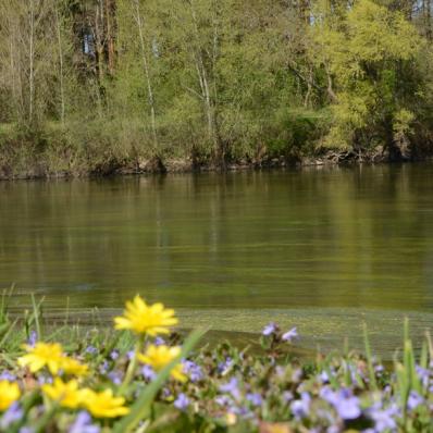 L'île du moulin à Chabris