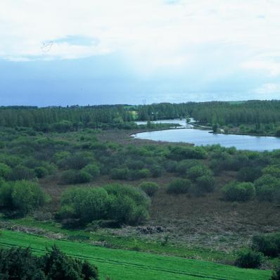 Le marais de la Presle à Saint-Georges-sur-Arnon