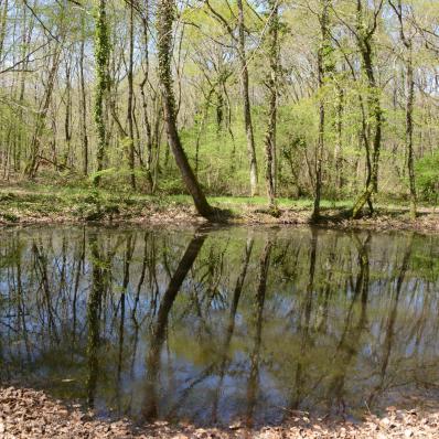 La Mare au Diable à Mers-sur-Indre