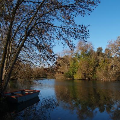 Les prairies de l'Arnon à Reuilly