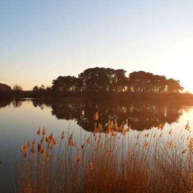 Le site de Bellebouche à Mézières-en-Brenne