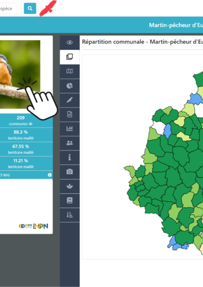 Agrandir l'image, fenêtre modale