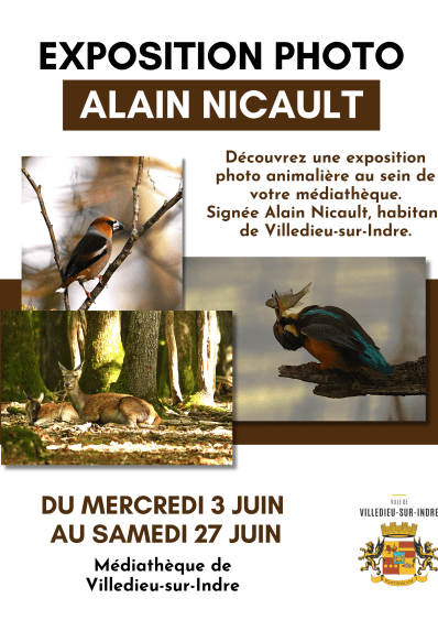 Agrandir l'image, fenêtre modale