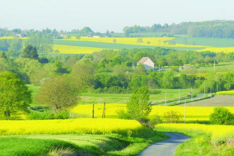 Le parcours des dames