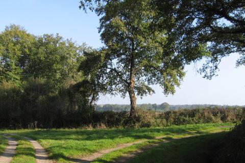 Le sentier de Ferrières à Néret