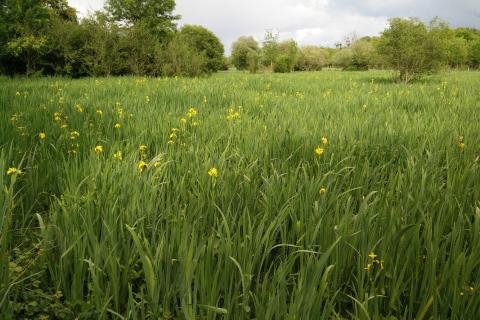 Vue extérieure de l'écoparc des Chènevières à Déols