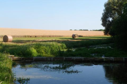 Les sources de la Théols à Ambrault & Bommiers