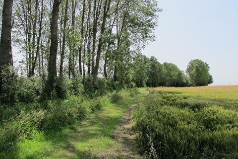Les Effes et les Riaux à Val-Fouzon