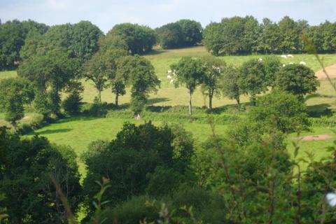 Les jardins de Beauregard au Magny