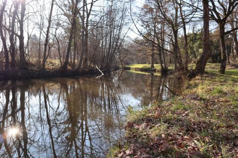 Les prés du canal à Mézières-en-Brenne