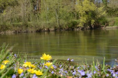 L'île du moulin à Chabris