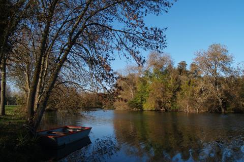 Les prairies de l'Arnon à Reuilly
