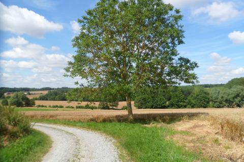 Sentier découverte Benjamin Rabier