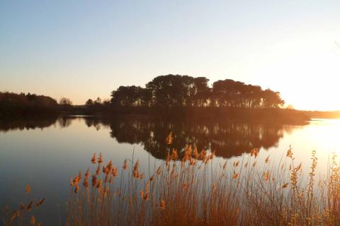 Le site de Bellebouche à Mézières-en-Brenne