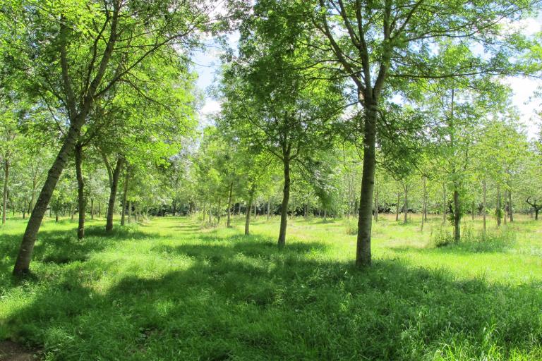 Le moulin d'Angibault à Montipouret - Agrandir l'image 7 sur 9, fenêtre modale