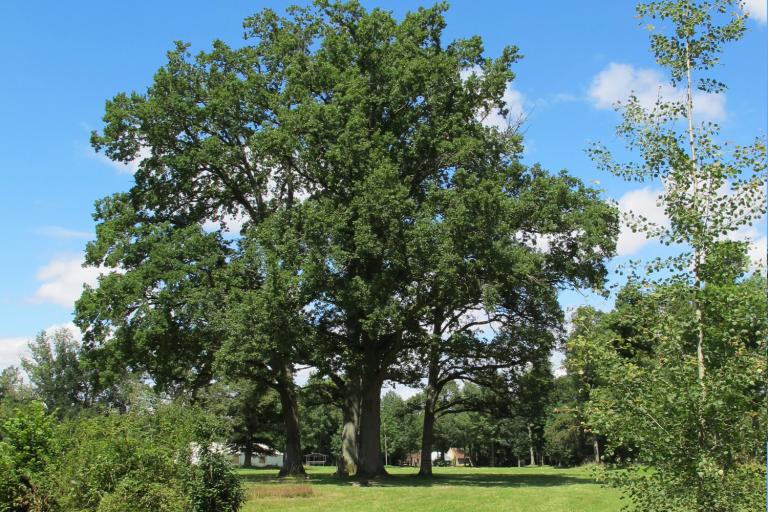 Le moulin d'Angibault à Montipouret - Agrandir l'image 6 sur 9, fenêtre modale