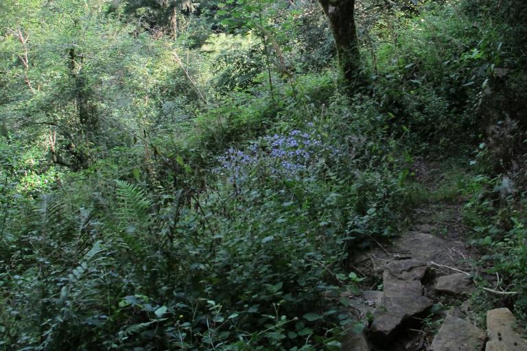 La boucle du Pin à Badecon-le-Pin - Agrandir l'image 6 sur 9, fenêtre modale