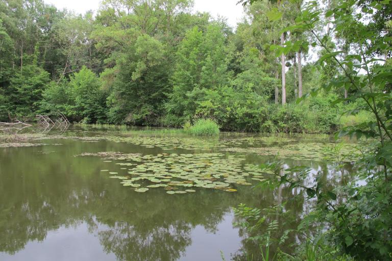 Les prés du canal à Mézières-en-Brenne - Agrandir l'image 1 sur 9, fenêtre modale