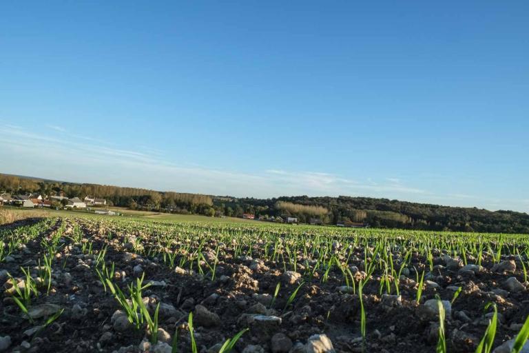 Le parcours des dames - Agrandir l'image 2 sur 3, fenêtre modale