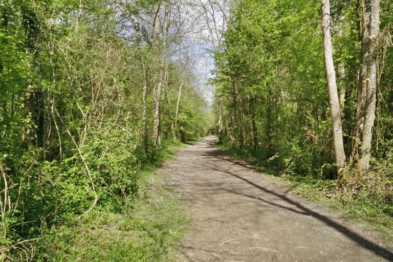 Le bois de la Ringoire à Déols - Agrandir l'image 1 sur 9, fenêtre modale