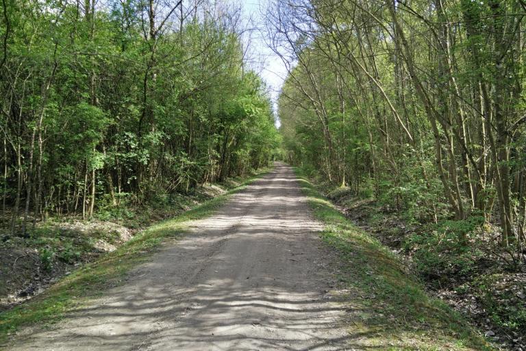 Le bois de la Ringoire à Déols - Agrandir l'image 7 sur 9, fenêtre modale
