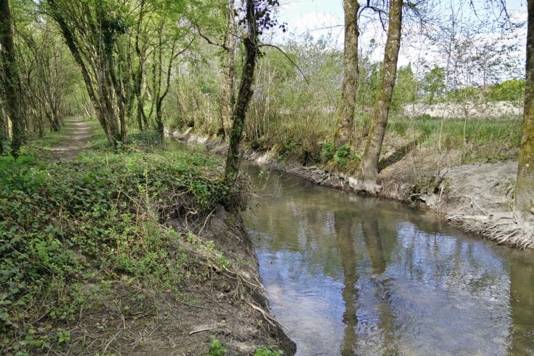 Le bois de la Ringoire à Déols - Agrandir l'image 6 sur 9, fenêtre modale