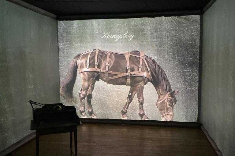 Agrandir l'image 2 sur 4, fenêtre modale