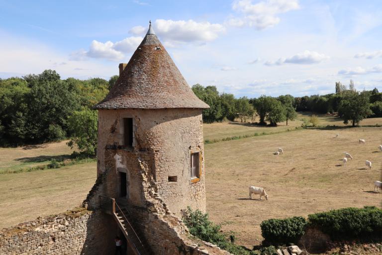 Le château de Sarzay - Agrandir l'image 5 sur 9, fenêtre modale