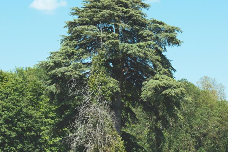 Agrandir l'image 2 sur 6, fenêtre modale