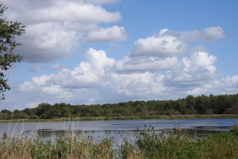 Agrandir l'image 5 sur 6, fenêtre modale