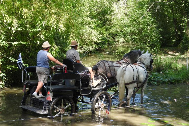 Agrandir l'image 6 sur 6, fenêtre modale