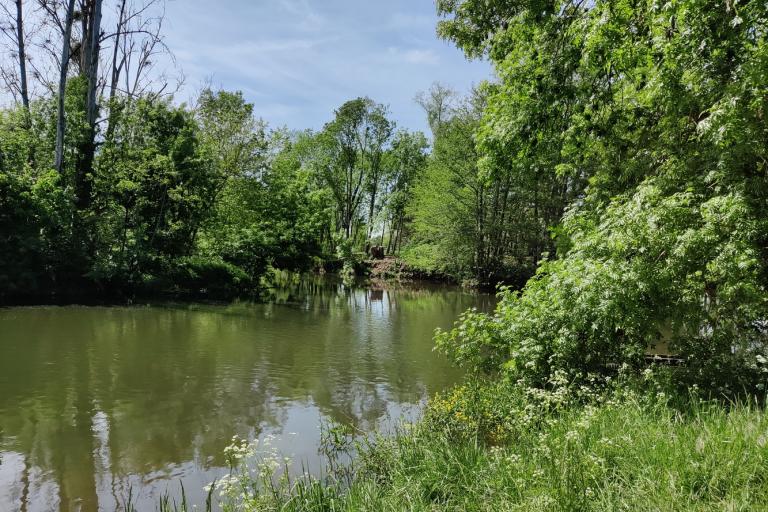 Vue extérieure de l'écoparc des Chènevières à Déols - Agrandir l'image 6 sur 9, fenêtre modale