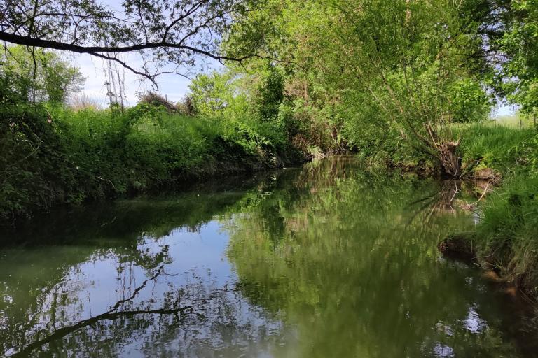 Vue extérieure de l'écoparc des Chènevières à Déols - Agrandir l'image 4 sur 9, fenêtre modale