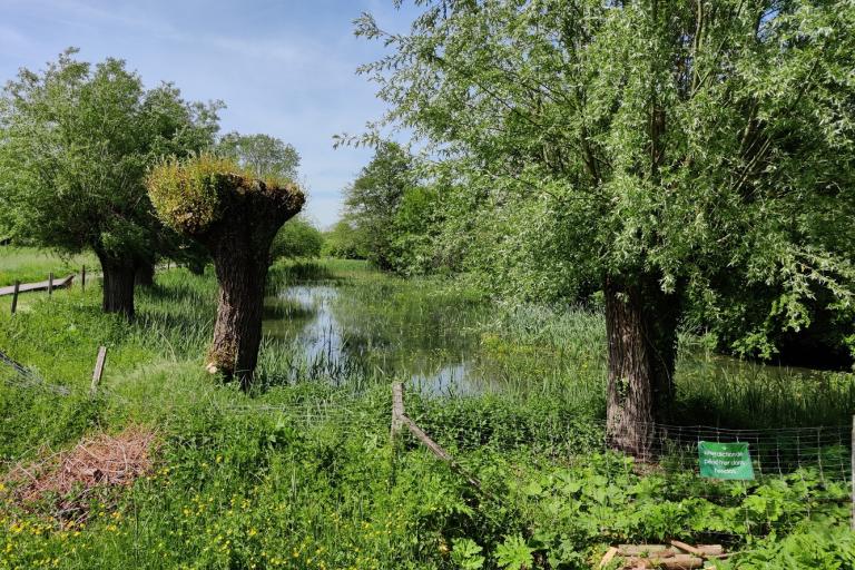 Vue extérieure de l'écoparc des Chènevières à Déols - Agrandir l'image 2 sur 9, fenêtre modale