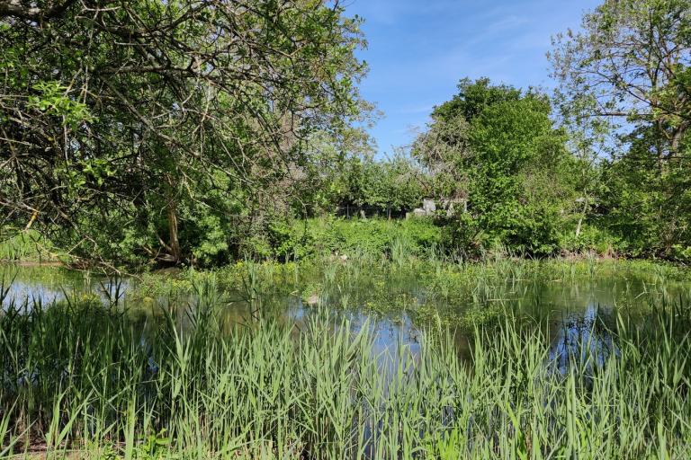 Vue extérieure de l'écoparc des Chènevières à Déols - Agrandir l'image 3 sur 9, fenêtre modale